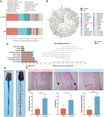 The Damage of the Crayfish (Procambarus Clarkii) Digestive Organs Caused by Citrobacter Freundii Is Associated With the Disturbance of Intestinal Microbiota and Disruption of Intestinal-Liver Axis Homeostasis